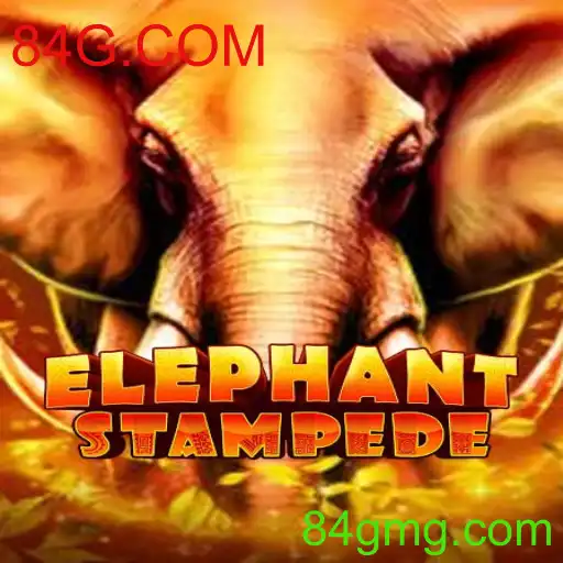 Descubra o Mundo de Aventura com ElephantStampede